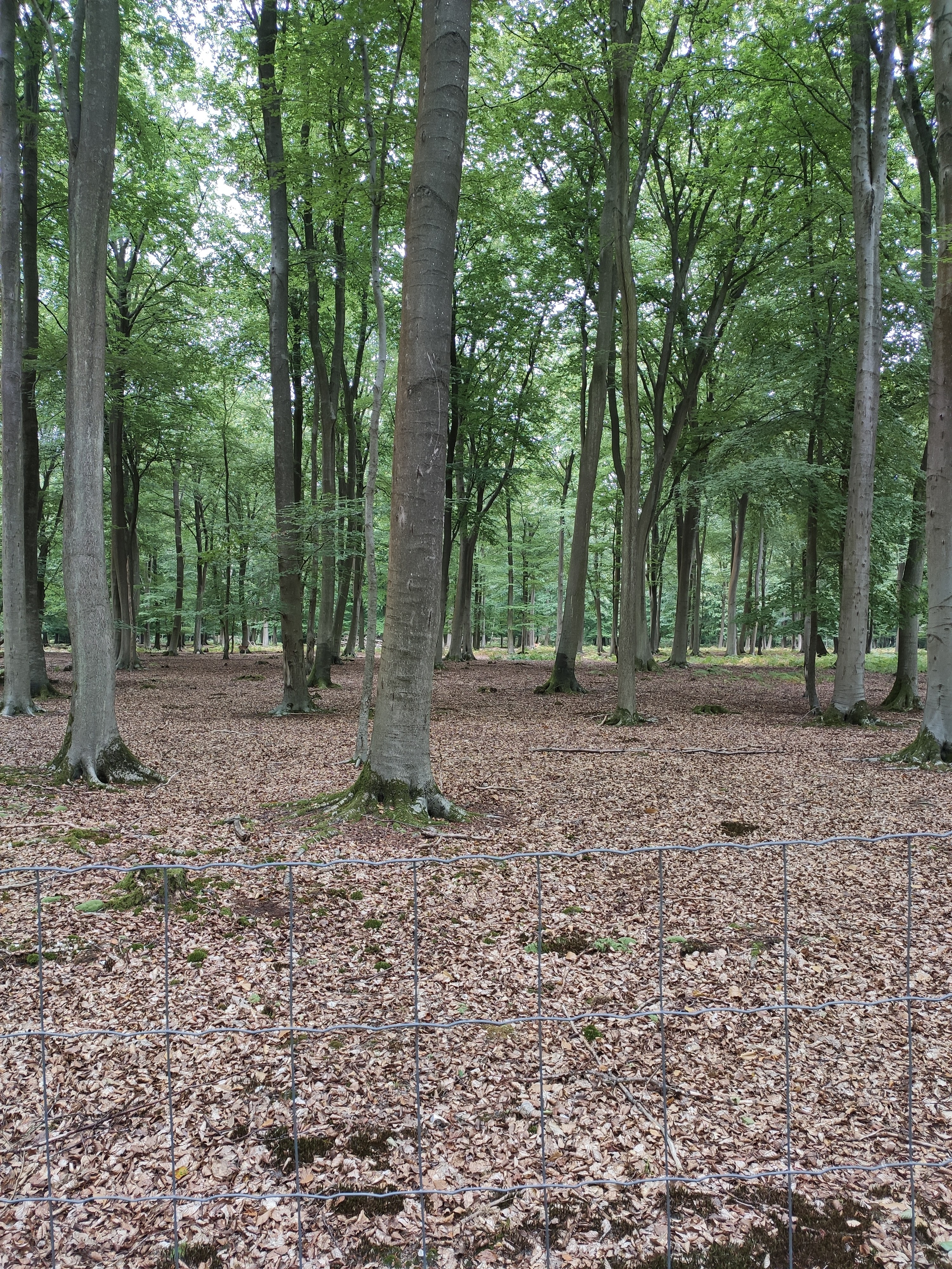 Photo n° 18 de l'avis de LAMBERT.r fait le 16/08/2022 à 19:17