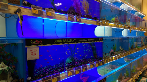 Pet Supply Store «PetSmart», reviews and photos, 4056 Atlanta Hwy, Loganville, GA 30052, USA