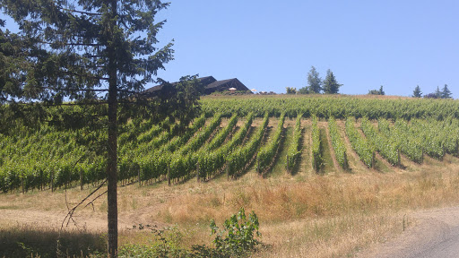 Winery «Colene Clemens Vineyards», reviews and photos, 22501 NE Dopp Rd, Newberg, OR 97132, USA