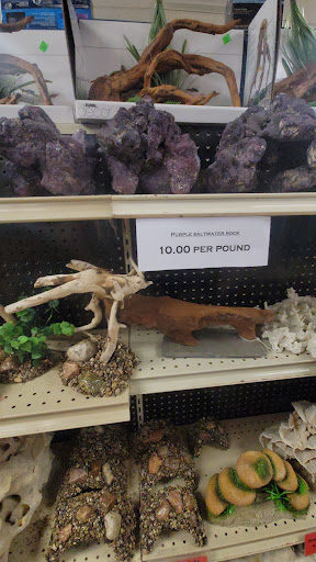 Pet Store «Moby Dick Pet Store Inc», reviews and photos, 3700 Sashabaw Rd, Waterford Twp, MI 48329, USA