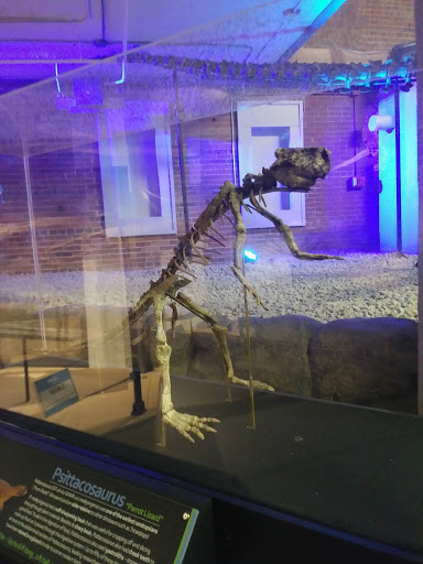 Museum «Museum of World Treasures», reviews and photos, 835 E 1st St N, Wichita, KS 67202, USA