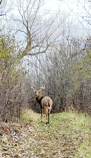Nature Preserve «Tifft Nature Preserve», reviews and photos, 1200 Fuhrmann Boulevard, Buffalo, NY 14203, USA