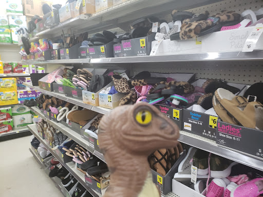 Discount Store «Dollar General», reviews and photos, 30420 Lakeshore Blvd, Willowick, OH 44095, USA