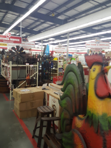 Home Improvement Store «Tractor Supply Co.», reviews and photos, 8986 Courthouse Rd, Louisa, VA 23093, USA