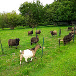 Photo n° 2 de l'avis de Patrick.l fait le 10/06/2021 à 19:05 pour Location de gîtes en bretagne à Tréduder