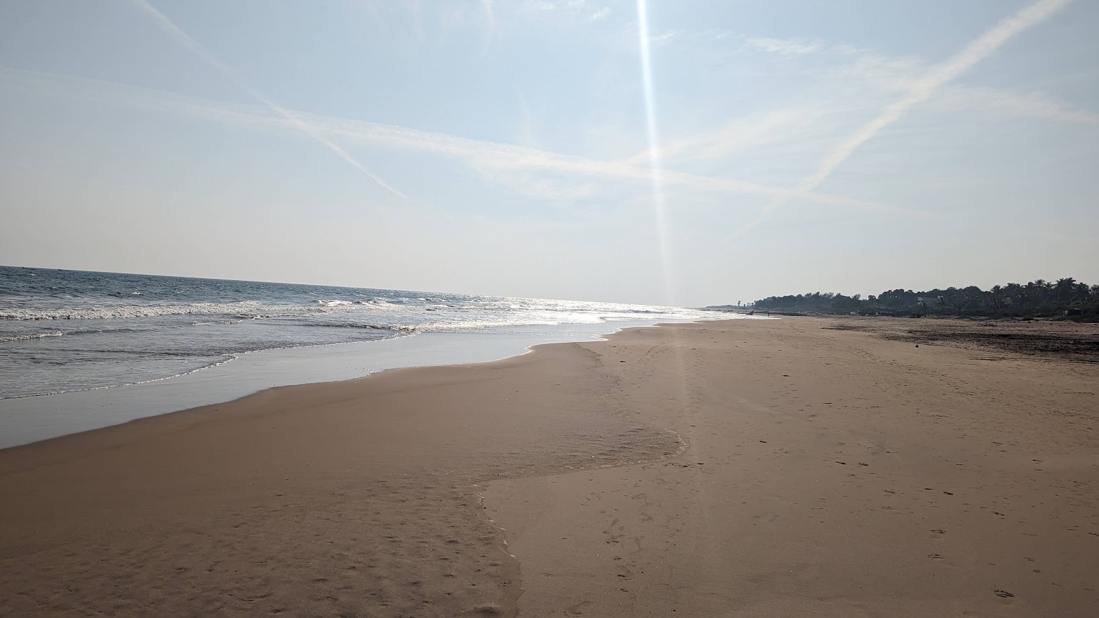 Fotografie cu PD Palem Beach zonă sălbatică