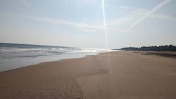 Photo de PD Palem Beach zone sauvage