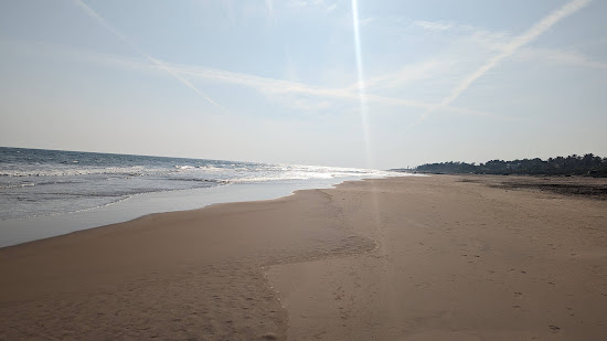 PD Palem Beach