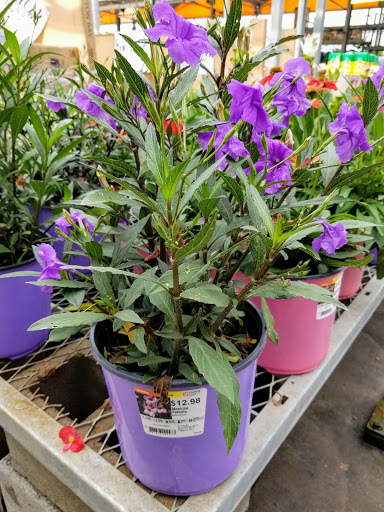 Home Improvement Store «The Home Depot», reviews and photos, 23575 U.S. 59, Porter, TX 77365, USA