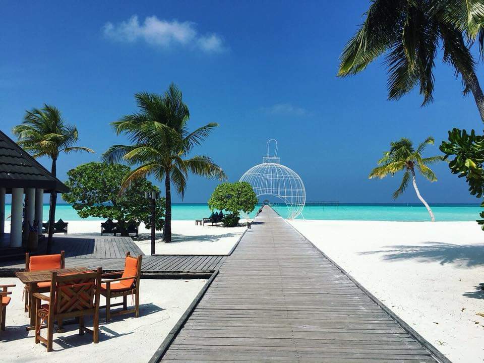 Photo de Guest Beach situé dans une zone naturelle