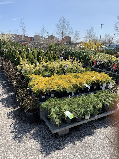 Home Improvement Store «The Home Depot», reviews and photos, 3301 E West Highway, Hyattsville, MD 20782, USA