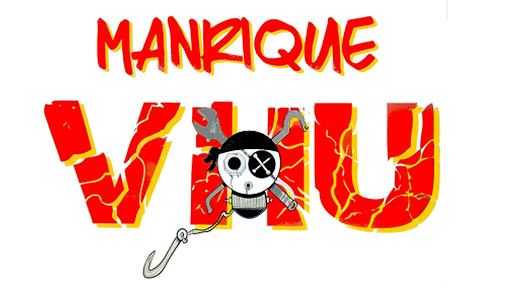 Casse Auto Manrique