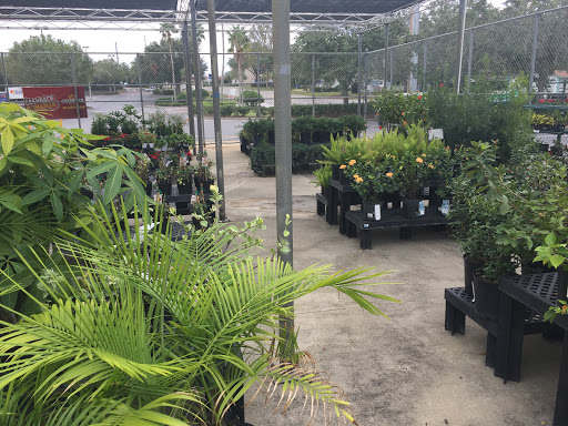 Discount Store «Kmart», reviews and photos, 1002 E Hwy 50, Clermont, FL 34711, USA