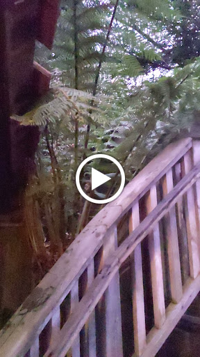 Coffee Shop «Cafe Mokka», reviews and photos, 495 J St, Arcata, CA 95521, USA