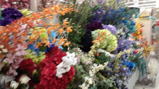 Craft Store «Michaels», reviews and photos, 1445 Riverstone Pkwy # 100, Canton, GA 30114, USA