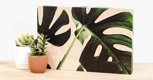 Photo Lab «Nations Photo Lab», reviews and photos, 11103 Pepper Rd, Cockeysville, MD 21030, USA