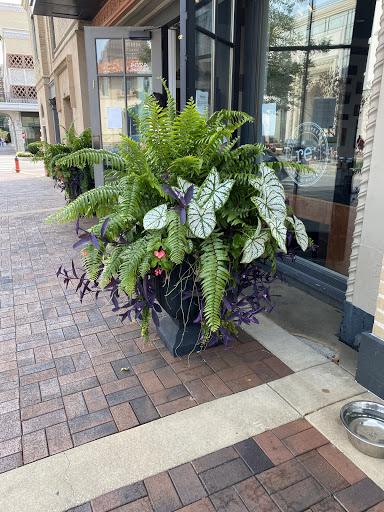 Furniture Store «west elm», reviews and photos, 400 W 47th St, Kansas City, MO 64112, USA