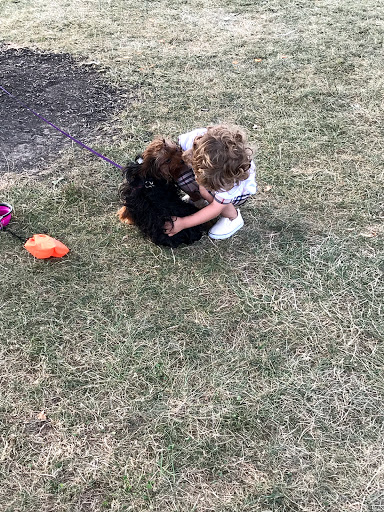 Park «Keehner park», reviews and photos, 7411 Barret Rd, West Chester Township, OH 45069, USA