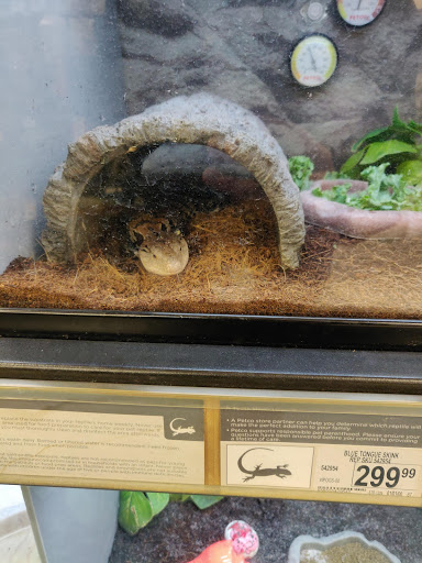 Pet Supply Store «Petco Animal Supplies», reviews and photos, 6425 Keizer Station Blvd, Keizer, OR 97303, USA