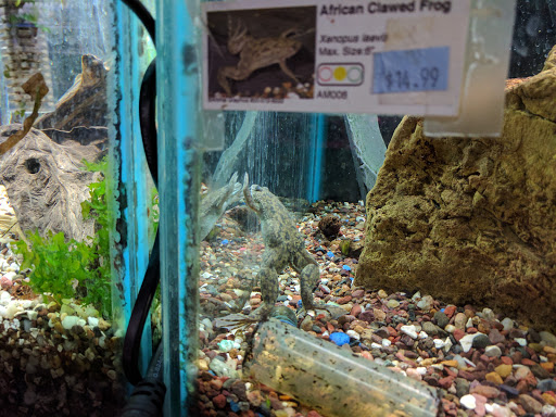 Pet Store «Aqualand Aquarium Center», reviews and photos, 5355 Chicago Ave, Minneapolis, MN 55417, USA
