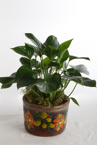 Florist «Flowers in Flight», reviews and photos, 1413 NE Alberta St, Portland, OR 97211, USA