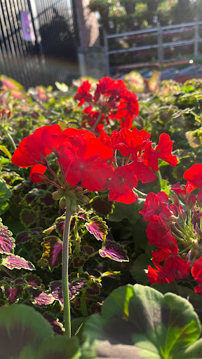 Home Improvement Store «The Home Depot», reviews and photos, 32525 Northwestern Hwy, Farmington Hills, MI 48334, USA