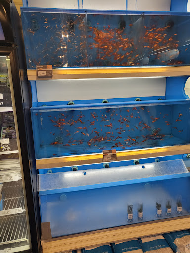 Pet Supply Store «PetSmart», reviews and photos, 1160 Stafford Market Pl, Stafford, VA 22556, USA