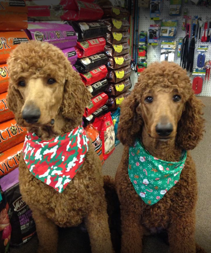 Pet Store «Choice Pet Market», reviews and photos, 4719 N 20th St A30, Phoenix, AZ 85016, USA