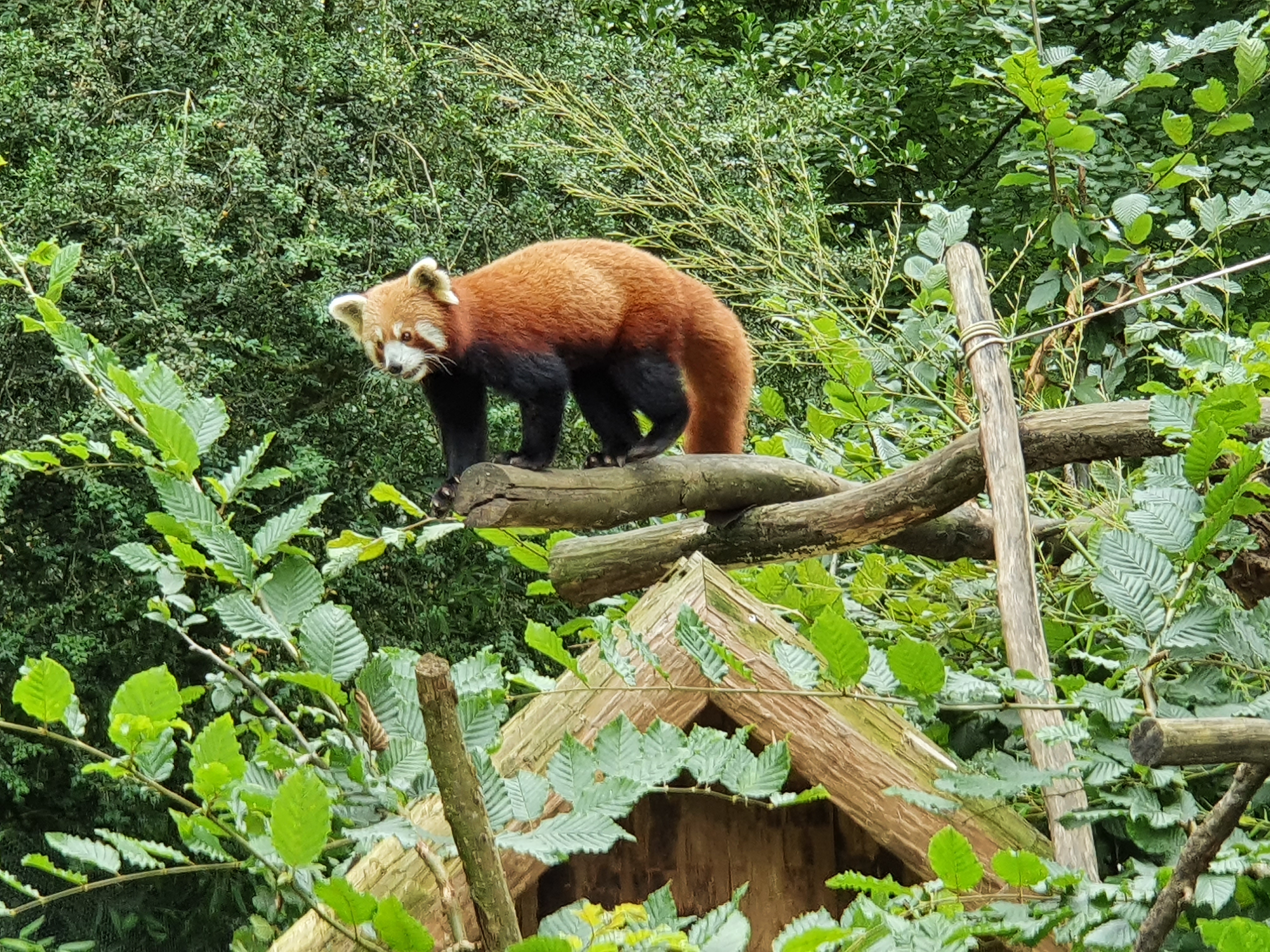 Photo n° 1 de l'avis de joel.e fait le 20/08/2021 à 20:39