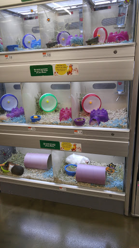 Pet Supply Store «Pet Supplies Plus», reviews and photos, 1407 Lincoln Hwy, Levittown, PA 19056, USA