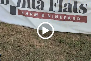 Bonita Flats | Farm & Vineyard image
