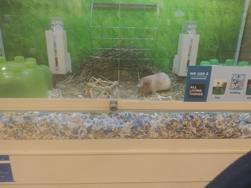 Pet Supply Store «PetSmart», reviews and photos, 1116 S Rochester Rd, Rochester Hills, MI 48307, USA