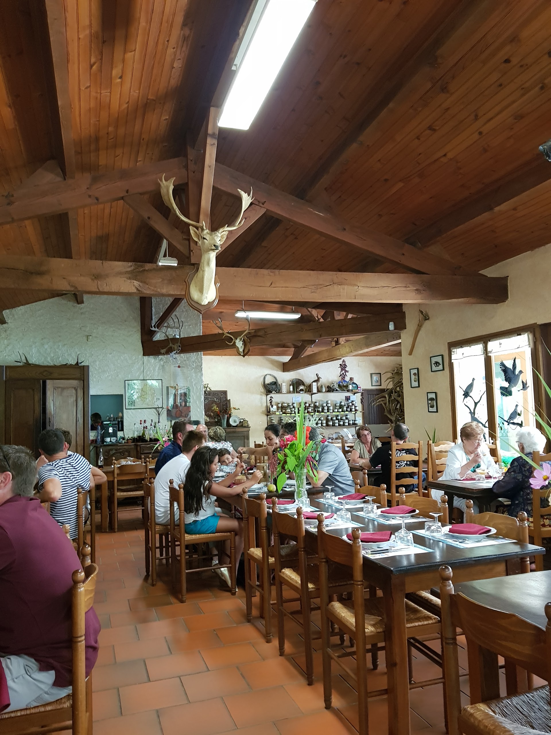 Photo n° 1 de l'avis de Michael.w fait le 13/08/2017 à 11:58