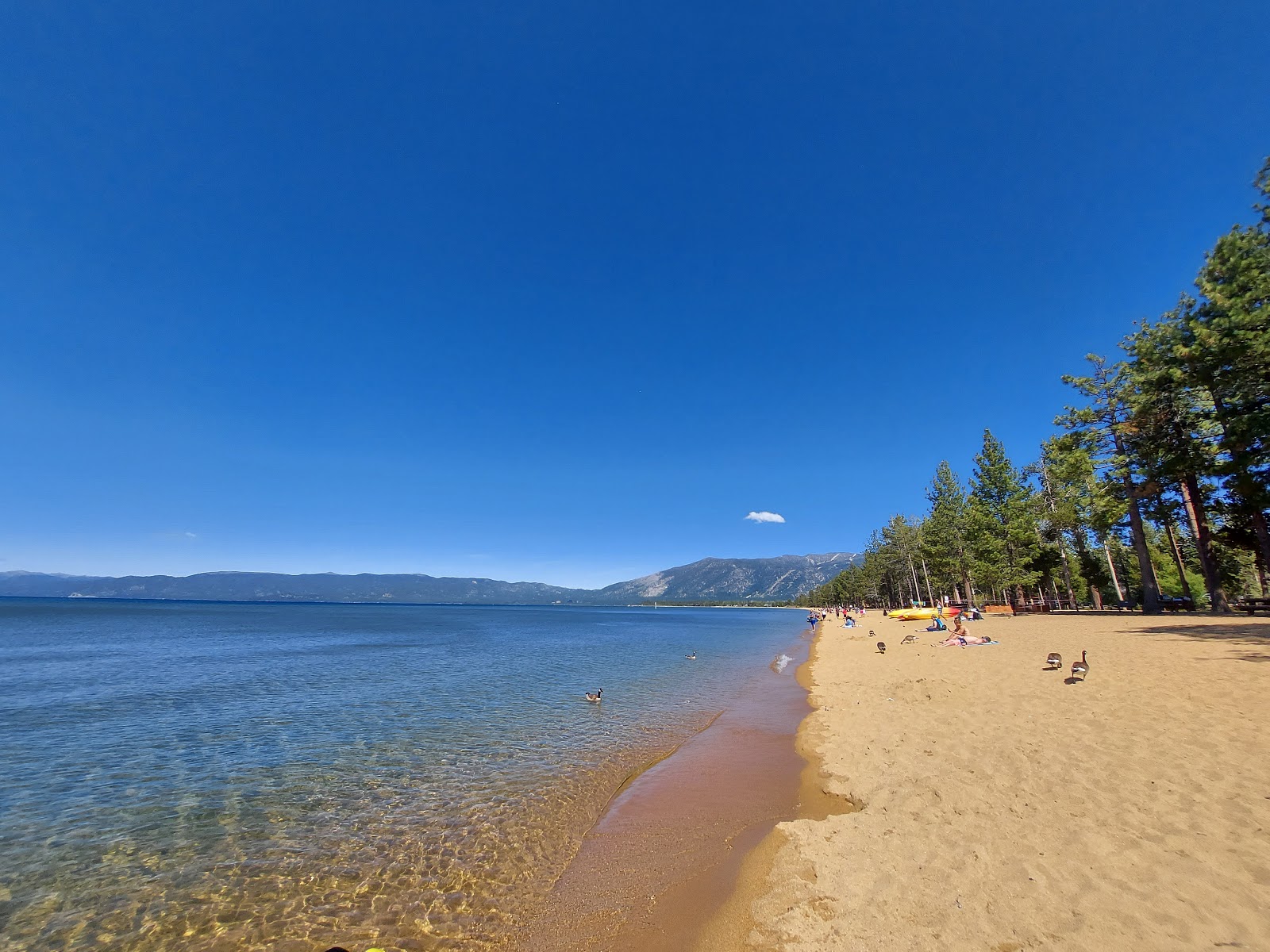 Fotografija Pope Beach z turkizna čista voda površino