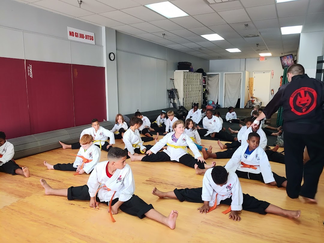 Cooperative Spirit Martial Arts Academy