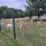 Photo n°1 de l'avis de Schnitzel23. fait le 19/09/2022 à 10:47 sur le  Gasthaus Eickholt GmbH à Ascheberg
