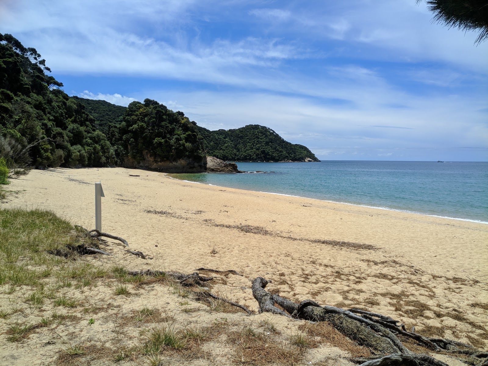 Foto di Mutton Beach con una costa spaziosa