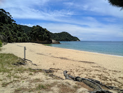 Foto di Mutton Beach con una costa spaziosa