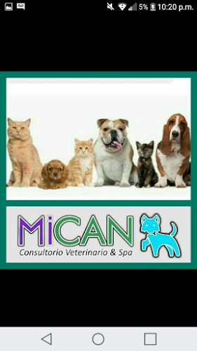 Opiniones de Veterinaria Spa MiCan en Lambayeque - Veterinario