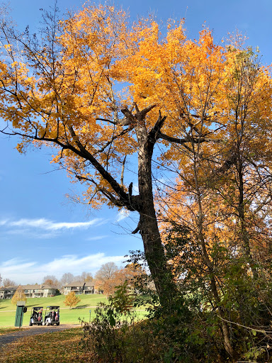 Public Golf Course «Deer Run Golf Club», reviews and photos, 8661 Deer Run Dr, Victoria, MN 55386, USA