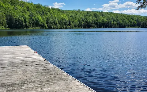 Lac Long Pond image