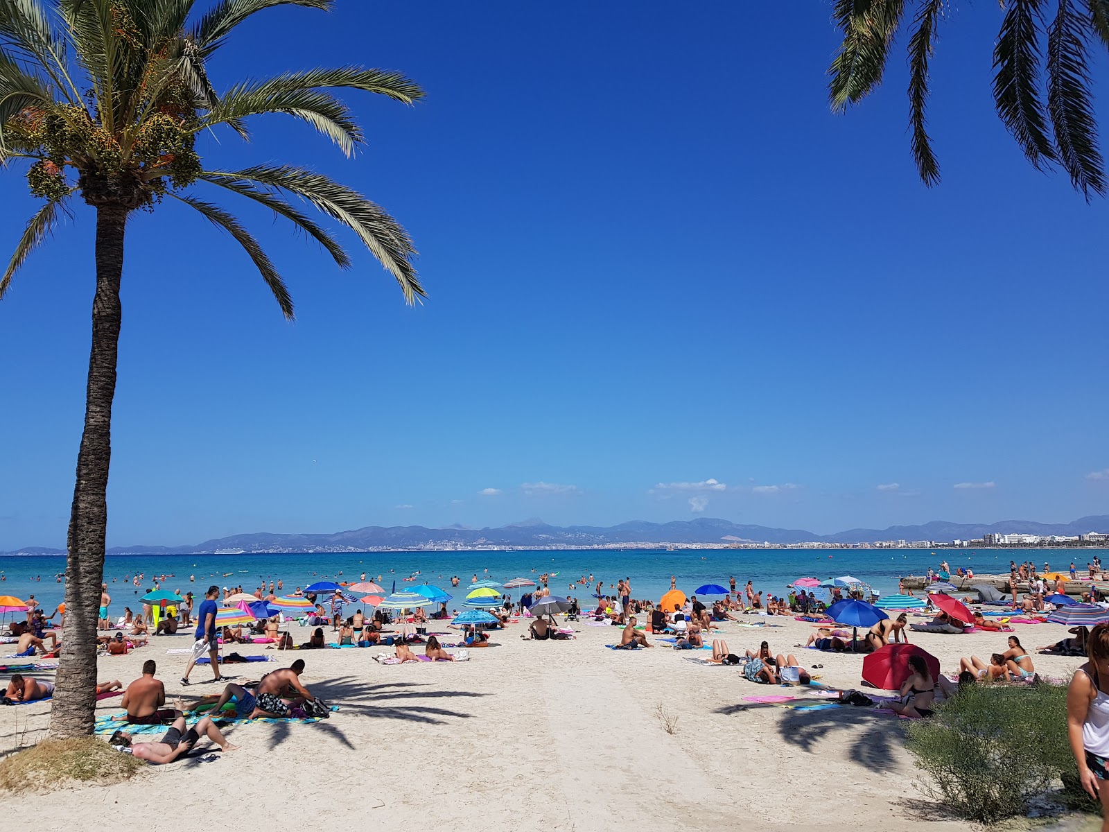 Photo de Playa de Palma et le règlement