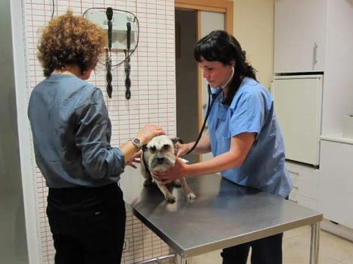 Servicios Veterinarios Albeytar en la Vall d'Uixó