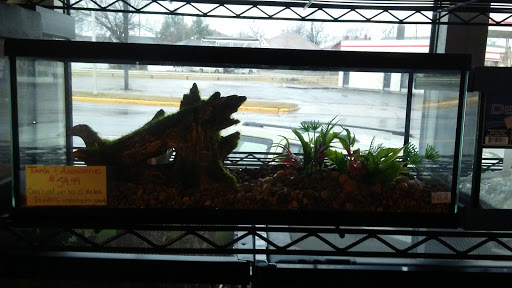 Pet Store «Pet Cove», reviews and photos, 820 E Center St, Kingsport, TN 37660, USA