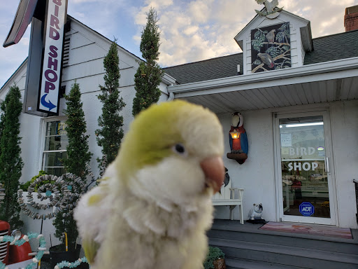 Pet Store «Farmer Girl Exotic Gardens», reviews and photos, 18940 Coastal Hwy, Rehoboth Beach, DE 19971, USA