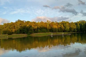 Bartow County Parks & Recreation image