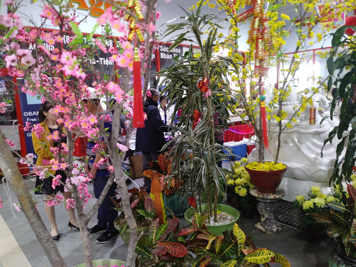 Grocery Store «Ben Thanh Plaza and Central Market», reviews and photos, 1818 E Pioneer Pkwy #100, Arlington, TX 76010, USA