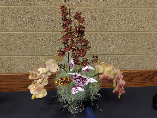 Museum «Tyler Rose Museum & Gift Shop», reviews and photos, 420 Rose Park Dr, Tyler, TX 75702, USA