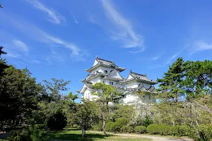 Iga Ueno Castle image