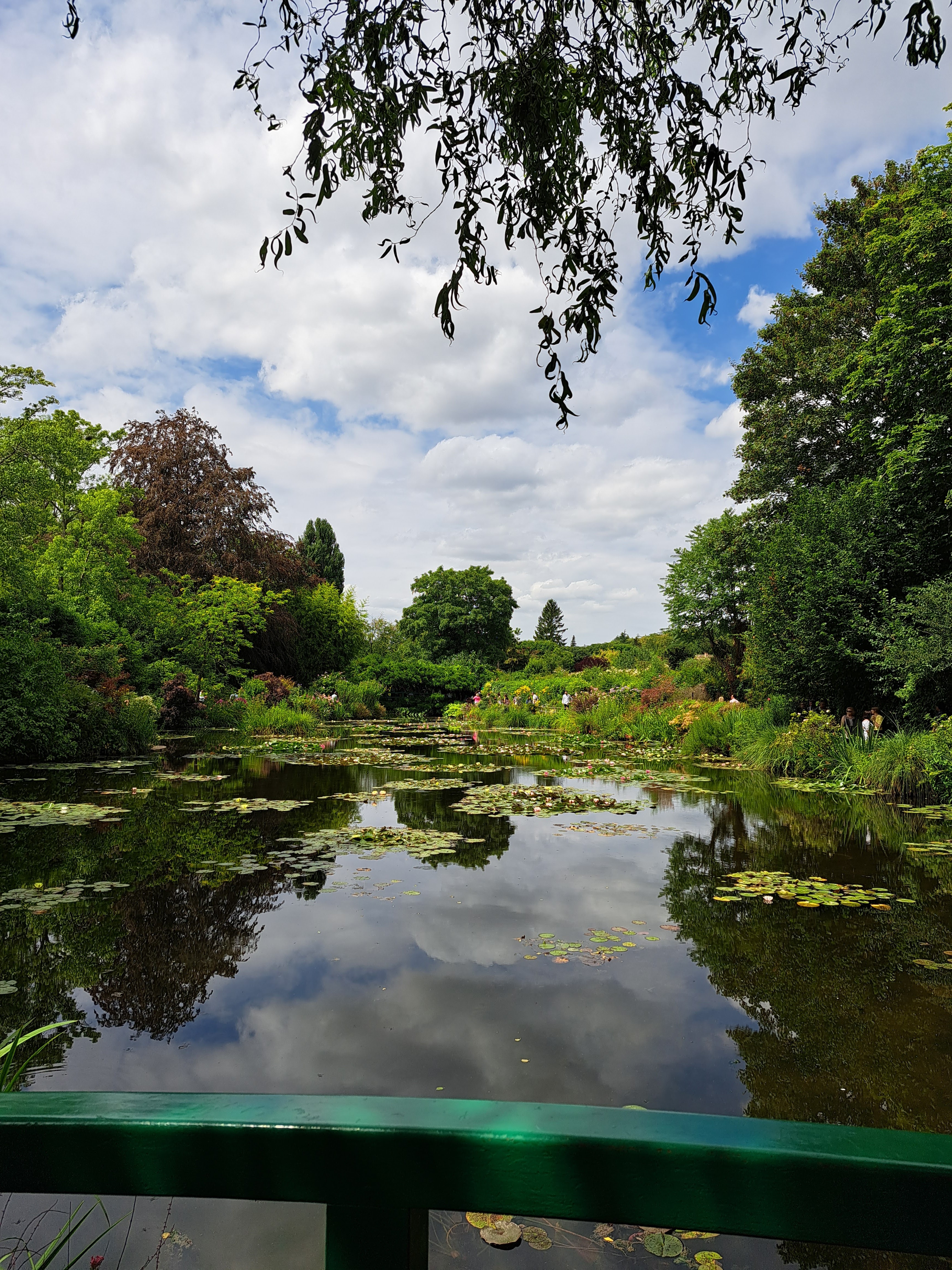 Photo n° 3 de l'avis de Fleur.a fait le 22/07/2023 à 15:46
